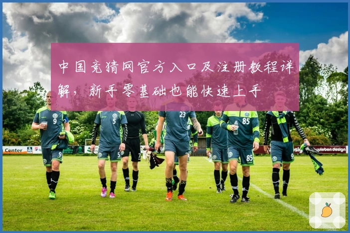 中国竞猜网官方入口及注册教程详解，新手零基础也能快速上手