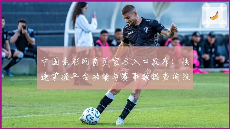 中国竞彩网首页官方入口发布：快速掌握平台功能与赛事数据查询技巧